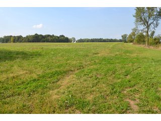 Dekalb County, Indiana Farmland - MAJOR LAND AUCTION - 516+/- ACRES OFFERED IN 18 TRACTS OR COMBINATIONS IN DEKALB COUNTY, INDIANA